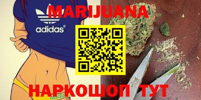 сатива Волжский