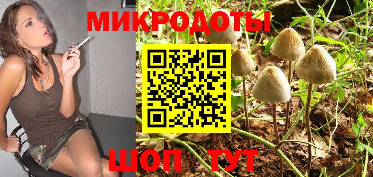 Магадан  Псилоцибиновые грибы Magic Shrooms  Вход с VPN 